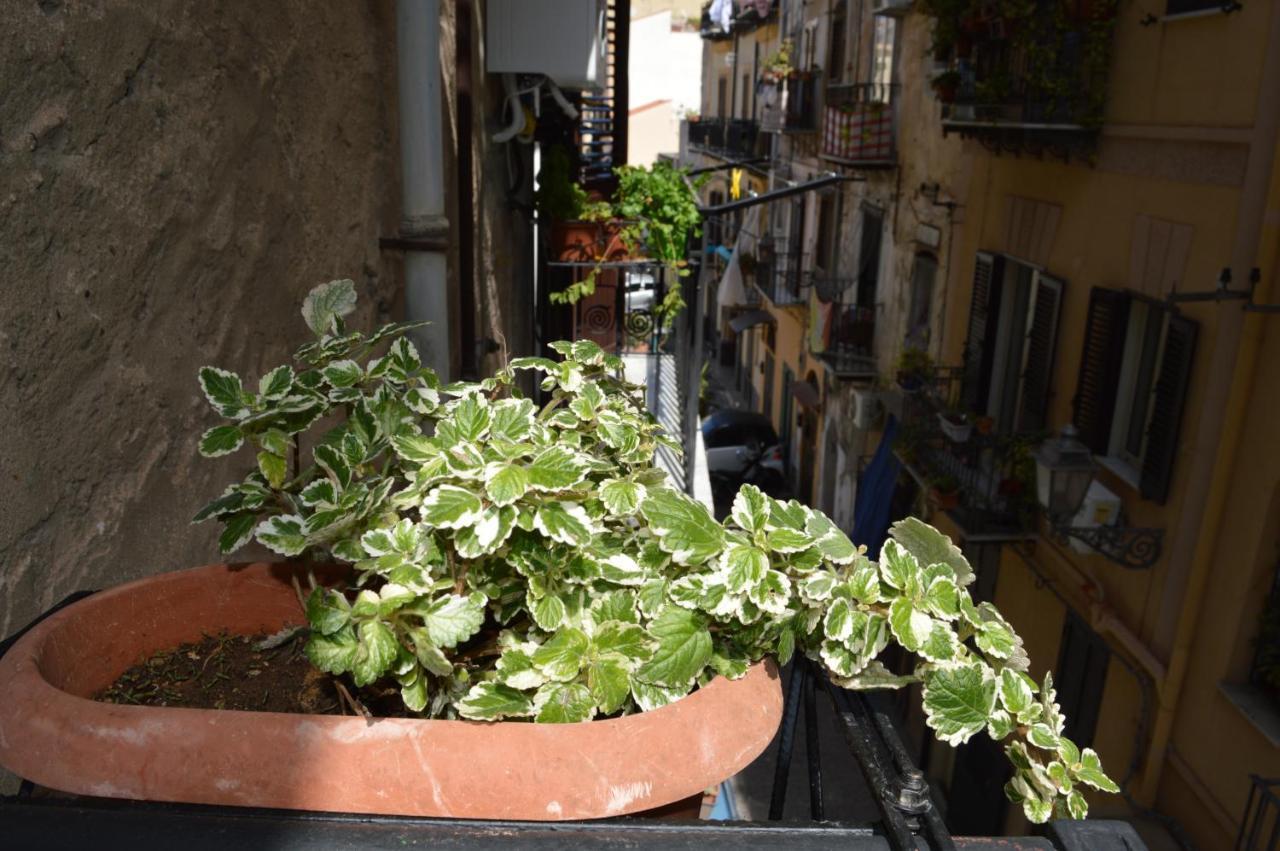 Futtitinni Home Casamia باليرمو المظهر الخارجي الصورة
